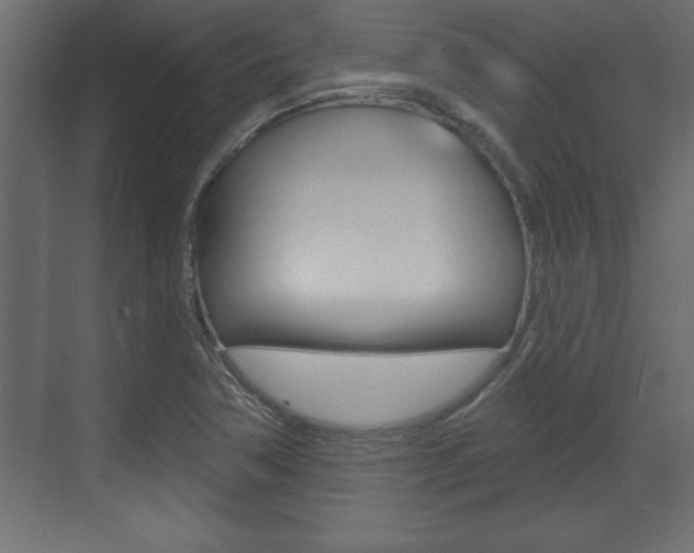 X0000073481362200607310840