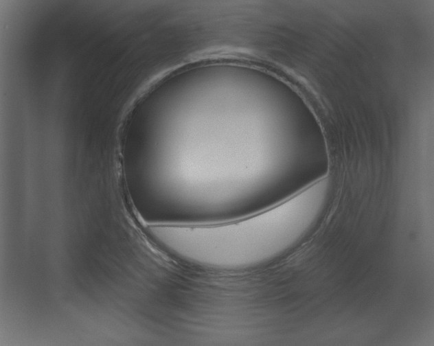 X0000073481363200607310840