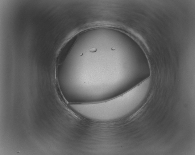 X0000073481365200607310840