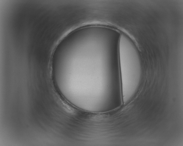 X0000073481367200607310840