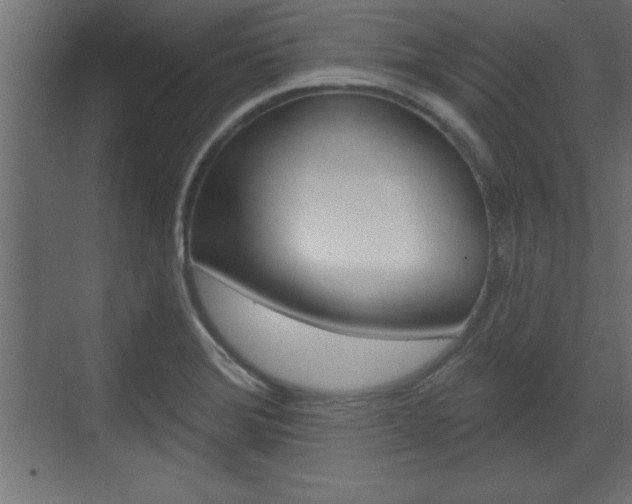 X0000073481372200607310840