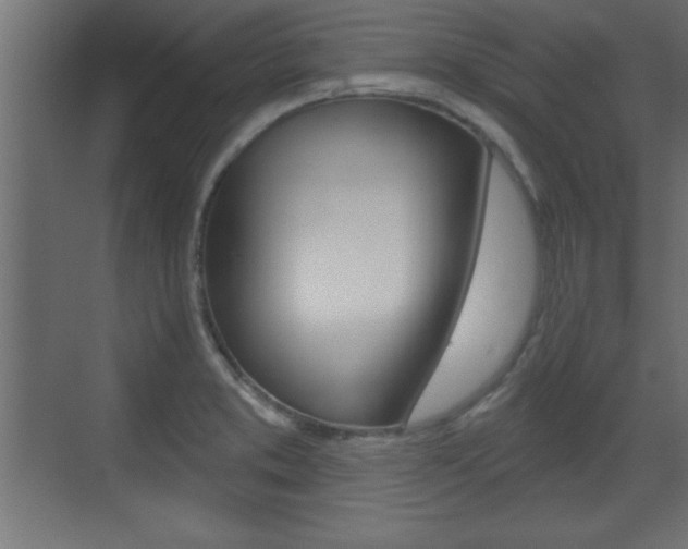 X0000073481373200607310840