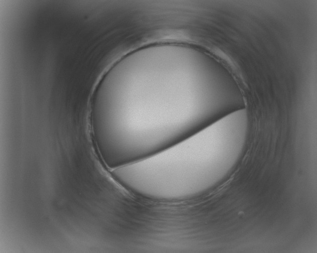 X0000073481374200607310840