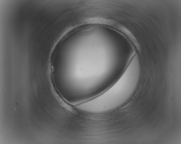 X0000073481376200607310840