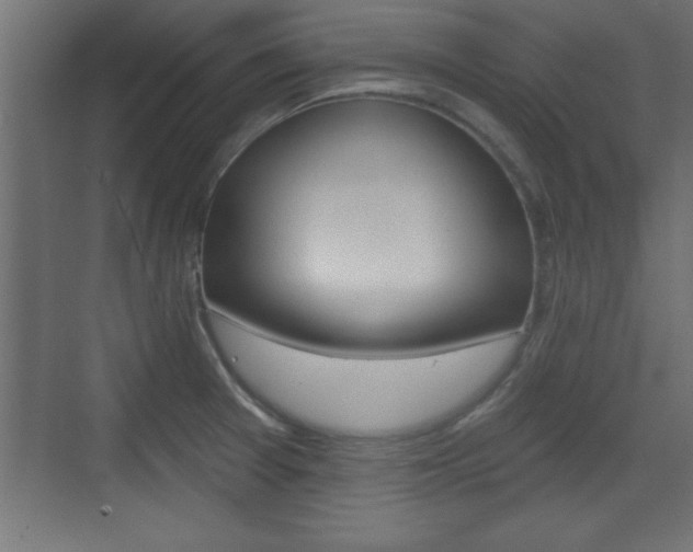 X0000073481377200607310840