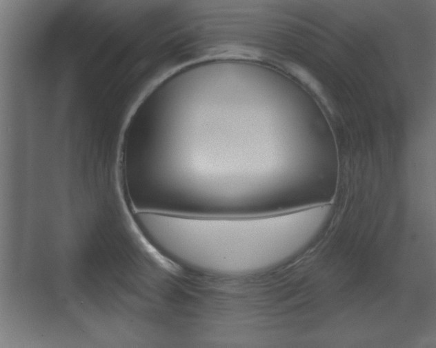 X0000073481379200607310840