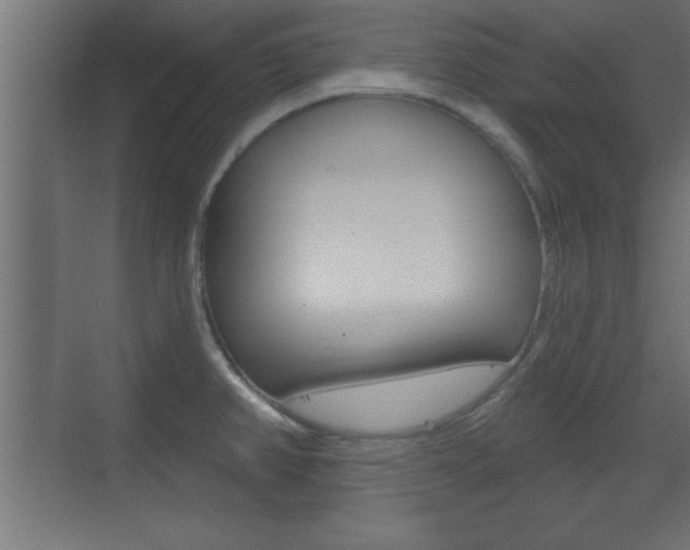 X0000073481382200607310840