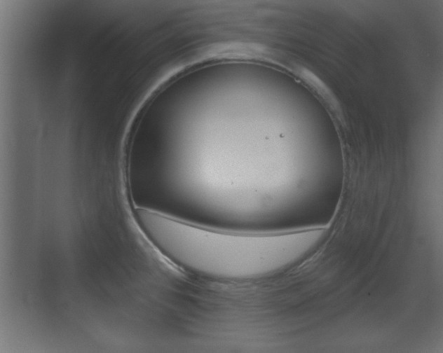 X0000073481384200607310840