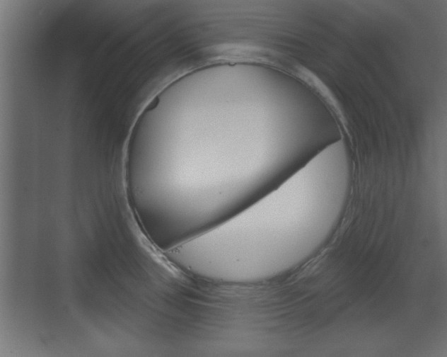 X0000073481386200607310840