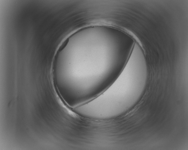 X0000073481387200607310840