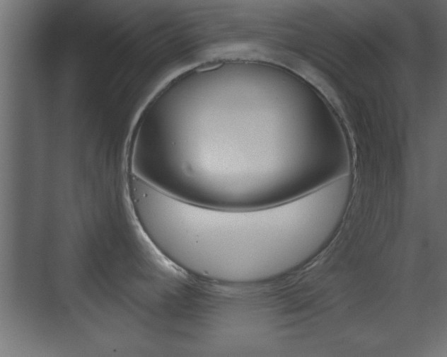 X0000073481392200607310840