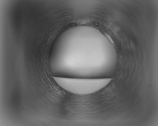 X0000073481393200607310839