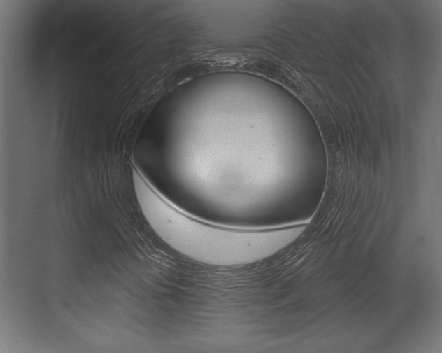 X0000073481394200607310839
