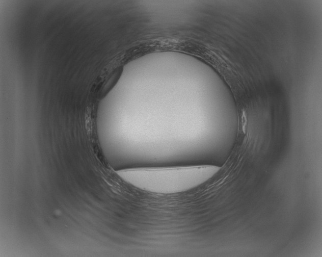 X0000073481395200607310839