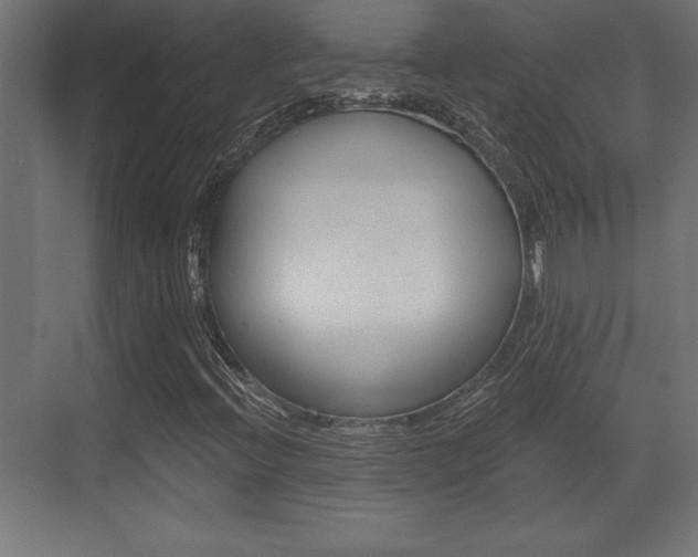 X0000073481396200607310839
