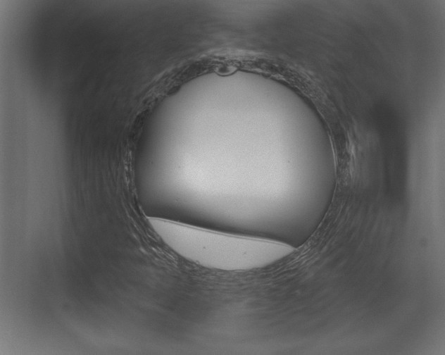 X0000073481397200607310839