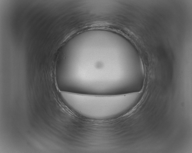 X0000073481401200607310839