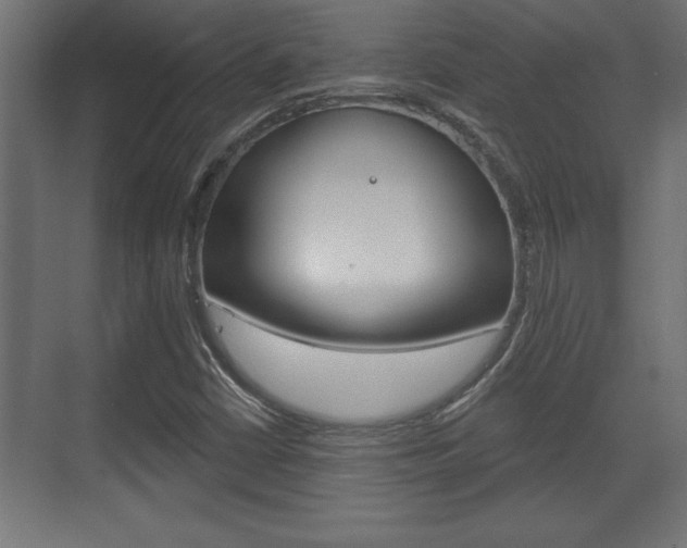 X0000073481402200607310839