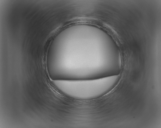 X0000073481403200607310839