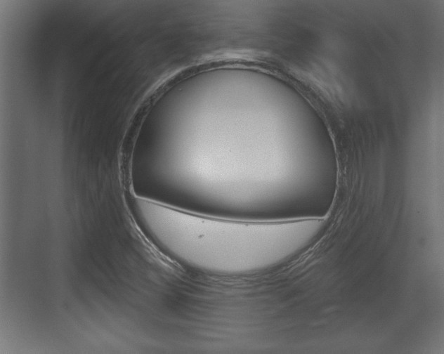 X0000073481404200607310839