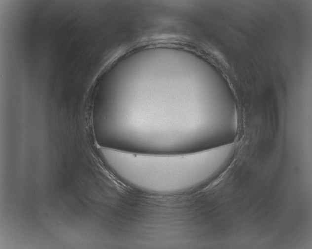 X0000073481405200607310839