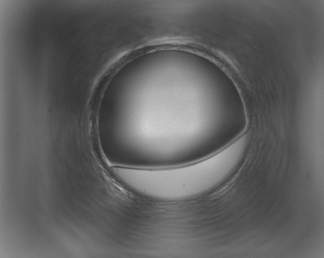 X0000073481406200607310839