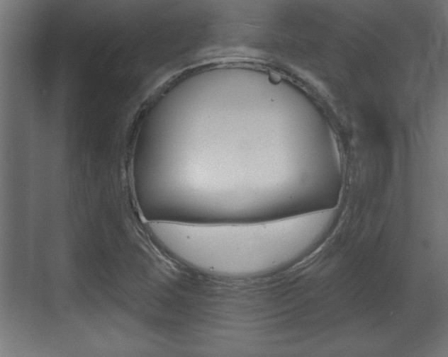 X0000073481407200607310839
