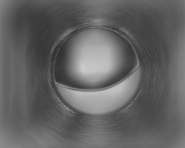X0000073481410200607310839