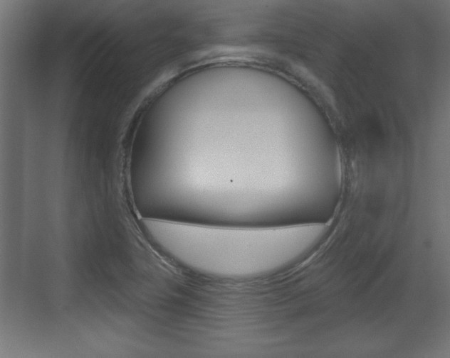 X0000073481411200607310839