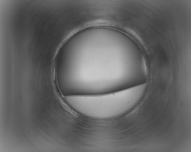 X0000073481413200607310839