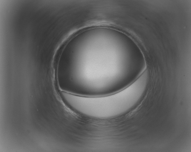 X0000073481414200607310839