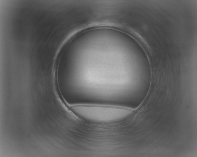 X0000073481416200607310839