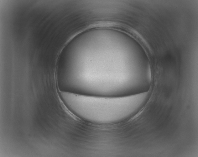 X0000073481417200607310839