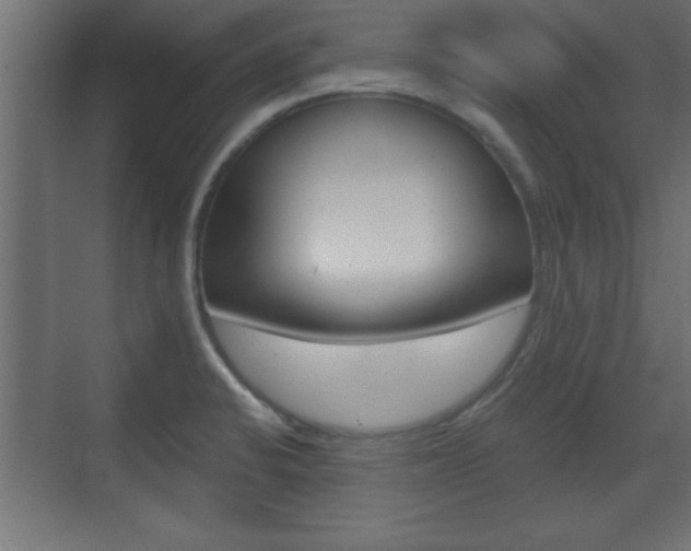 X0000073481424200607310839