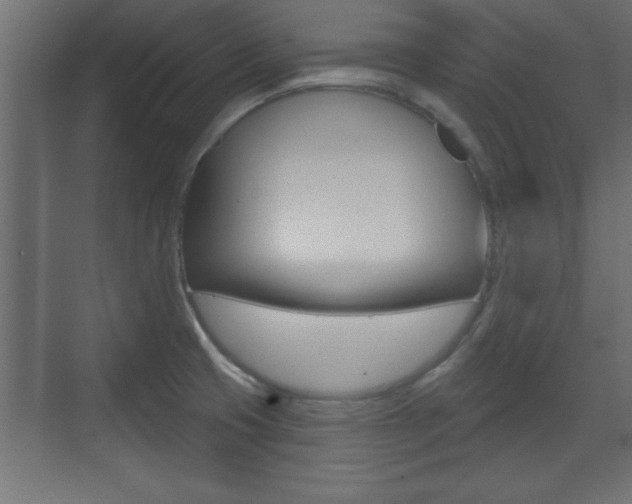 X0000073481425200607310839