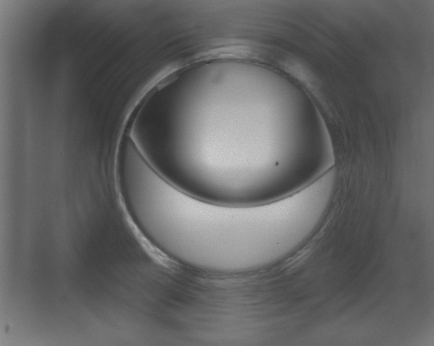 X0000073481426200607310839