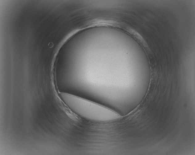 X0000073481427200607310839