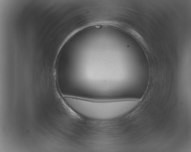 X0000073481428200607310839