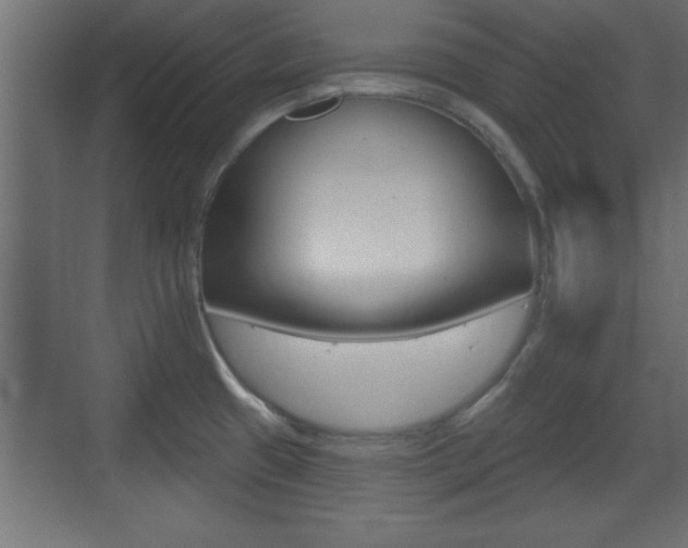 X0000073481433200607310839