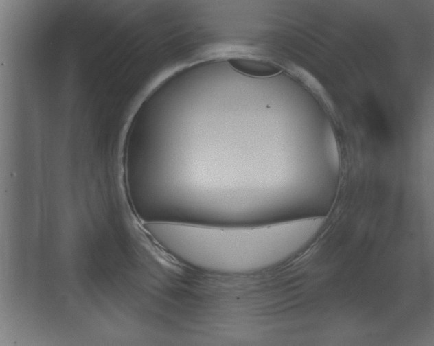 X0000073481435200607310839