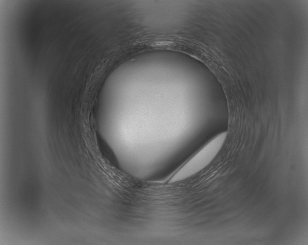 X0000073481441200607310839