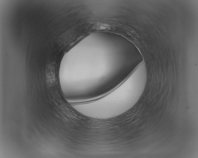 X0000073481442200607310839