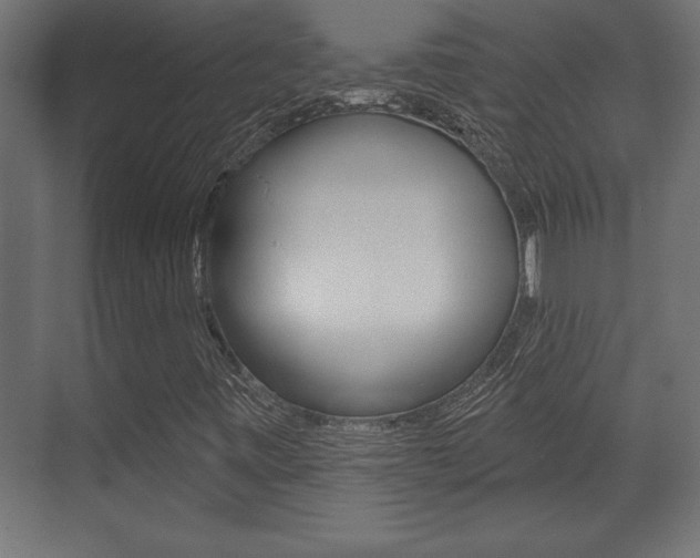 X0000073481443200607310839