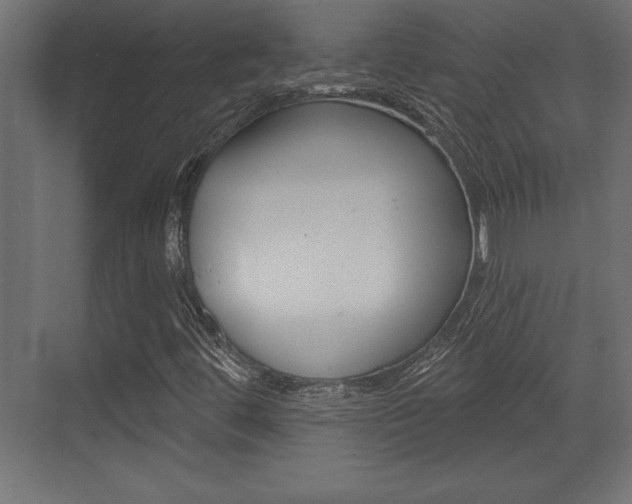 X0000073481444200607310839