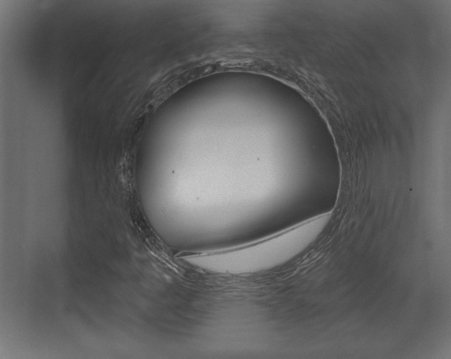X0000073481445200607310839