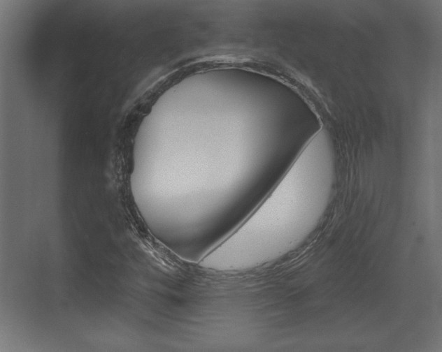 X0000073481448200607310839