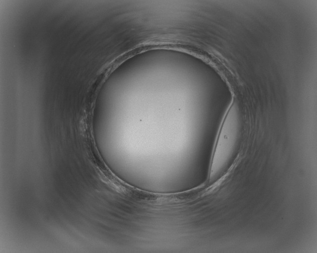 X0000073481449200607310839