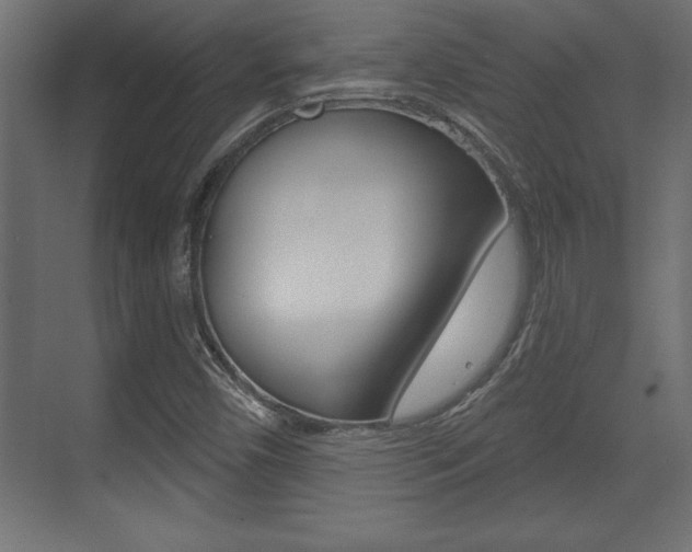 X0000073481450200607310839