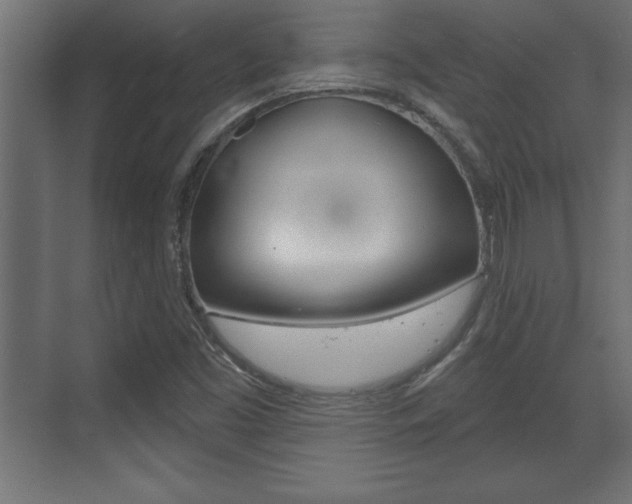 X0000073481453200607310839