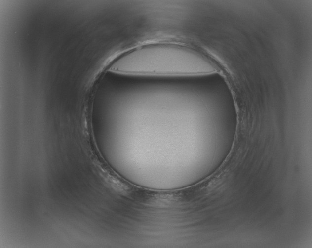 X0000073481455200607310838
